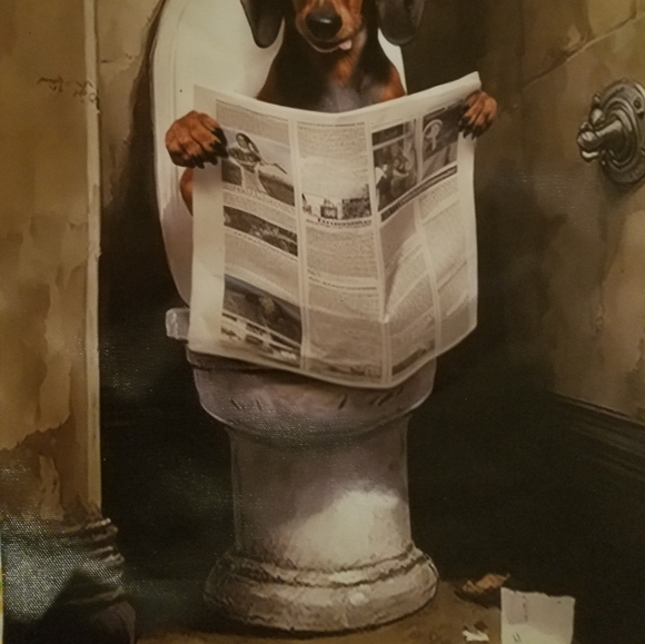 Framable Dachshund On Toilet Reading Newspaper Canvas Wall Decor Enjoy Your Poop - Picture 4 of 7